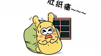 2025年吃瓜群众,吃瓜群众年度大盘点