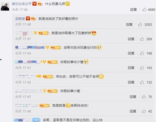 评论区吃瓜吃瓜什么意思,揭秘“吃瓜吃瓜”背后的网络文化现象