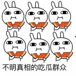 忽悠吃瓜,网络热词背后的文化现象