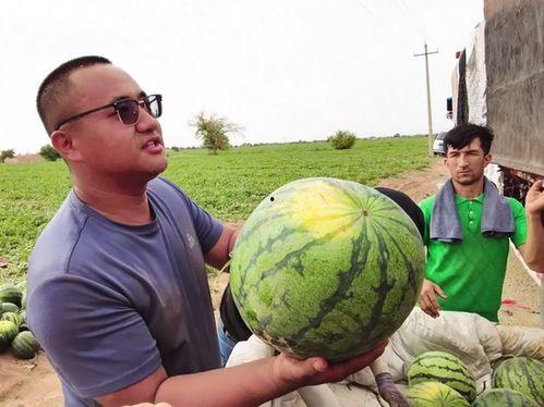 偃师吃瓜照片,一场视觉与味蕾的奇妙之旅
