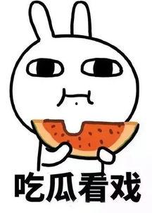 面对瓜怎么吃,解锁夏日美味瓜果的正确食用之道