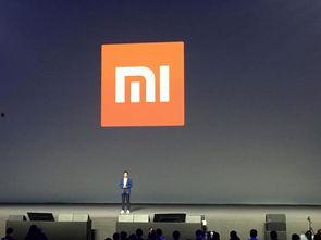 小米发布会吃瓜群众图片