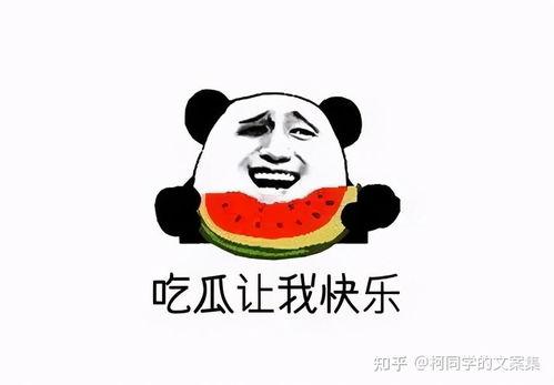 发送吃瓜群众文案,一场全民参与的围观盛宴