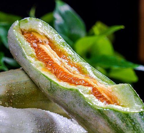 喜欢吃脆瓜还是沙瓜,脆瓜与沙瓜的味蕾对决