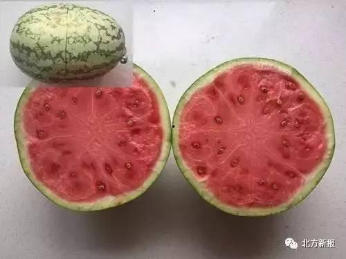 吃假瓜的后果,健康危机一触即发