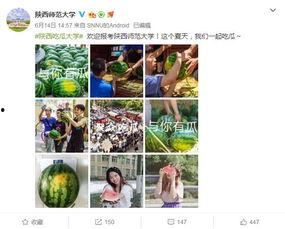 蹦迪吃瓜视频,揭秘夜店生活点滴