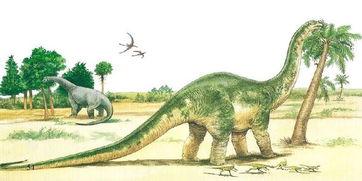 吃瓜恐龙图片,揭秘吃瓜恐龙的趣味瞬间