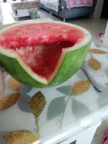 山东曹县瓜哥带你吃瓜,瓜哥曹县带你领略地道美食之旅 第2张 山东曹县瓜哥带你吃瓜,瓜哥曹县带你领略地道美食之旅 第2张