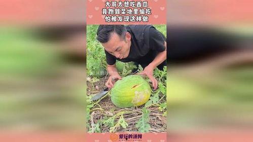 山东曹县瓜哥带你吃瓜,瓜哥曹县带你领略地道美食之旅 第3张 山东曹县瓜哥带你吃瓜,瓜哥曹县带你领略地道美食之旅 第3张