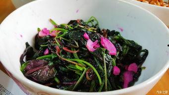 搁家吃瓜,品味瓜界风云  第2张