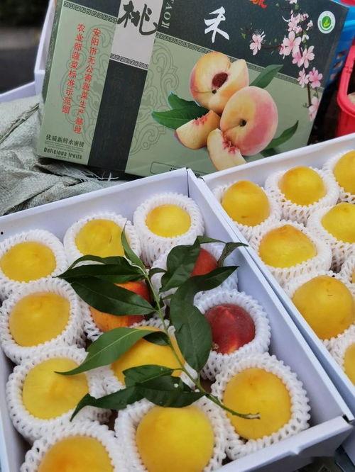 众享吃瓜,揭秘娱乐圈幕后故事，带你领略明星真实生活  第2张