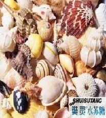 产妇可以吃土瓜,土瓜的营养与食用指南  第3张