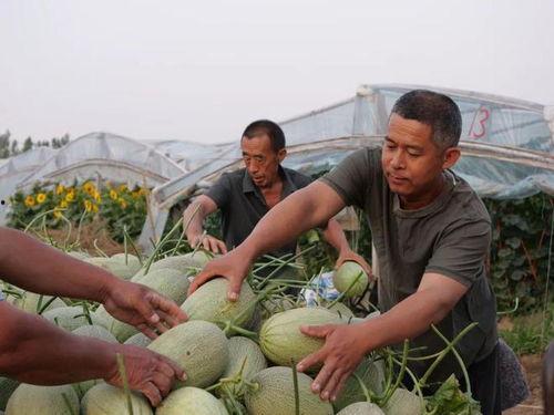 小徐吃瓜现场,揭秘娱乐圈幕后风云 第2张 小徐吃瓜现场,揭秘娱乐圈幕后风云 第2张