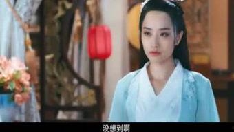 追星吃瓜女孩视频,视频背后的疯狂与理性  第3张