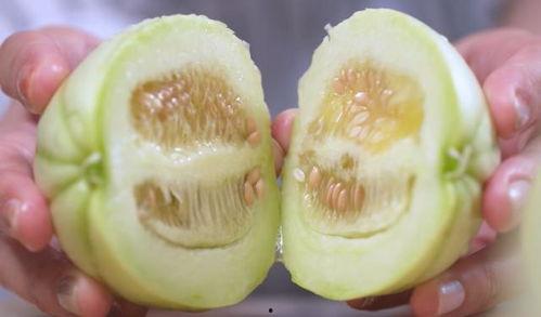 早瓜带皮吃,早瓜带皮食之佳品  第2张