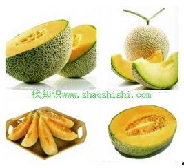 有肠胃炎可以吃哈密瓜吗,肠胃炎患者适宜食用哈密瓜吗？  第2张