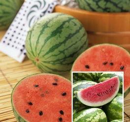 intj喜欢吃瓜吗,揭秘他们是否喜欢“吃瓜”的奥秘  第2张