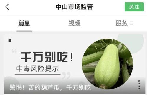 吃蜜瓜葫芦素过敏 第2张 吃蜜瓜葫芦素过敏 第2张