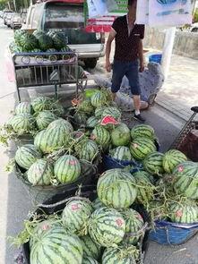 东平吃瓜事件,一场网络狂欢背后的真相与反思 第3张 东平吃瓜事件,一场网络狂欢背后的真相与反思 第3张