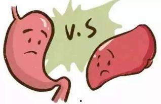 吃瓜不吐龙,揭秘娱乐圈的神秘面纱