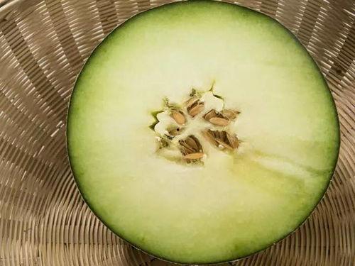 切个瓜吃 第3张 切个瓜吃 第3张