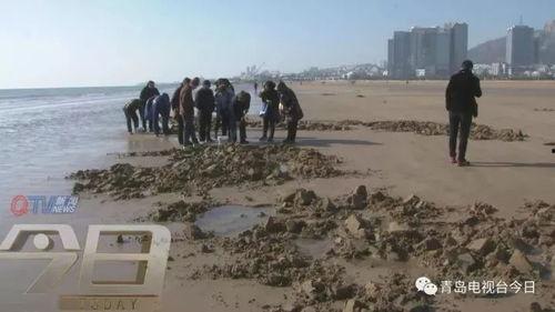 渔民组团吃瓜,组团吃瓜，共享夏日欢乐时光  第3张