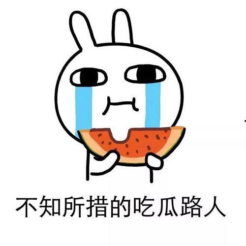 暴躁的吃瓜,揭秘网络热议背后的情绪风暴  第2张