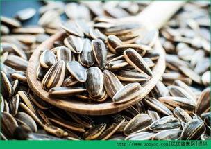 吃瓜抓瓜子,揭秘抓瓜子的技巧与乐趣 第2张 吃瓜抓瓜子,揭秘抓瓜子的技巧与乐趣 第2张