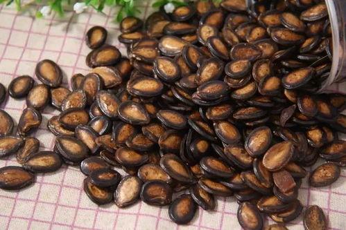 吃瓜抓瓜子,揭秘抓瓜子的技巧与乐趣 第3张 吃瓜抓瓜子,揭秘抓瓜子的技巧与乐趣 第3张