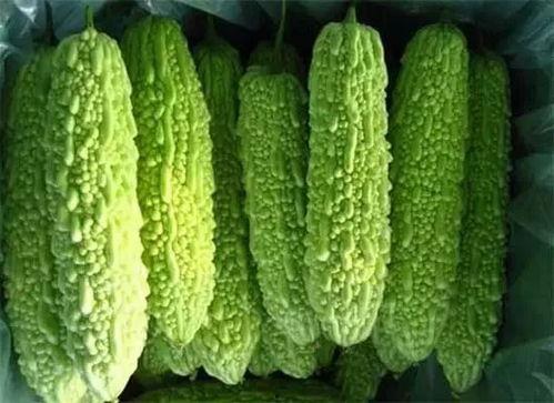 南宁行健吃瓜群,揭秘校园生活趣味瞬间 第2张 南宁行健吃瓜群,揭秘校园生活趣味瞬间 第2张