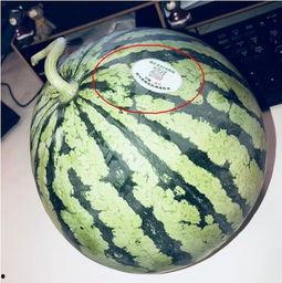 小网红吃瓜,揭秘娱乐圈幕后真相 第2张 小网红吃瓜,揭秘娱乐圈幕后真相 第2张