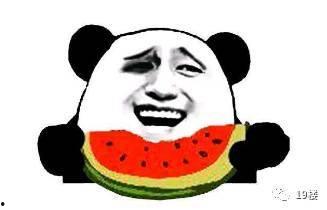 被朋友吃瓜,一场意外的“瓜田”奇遇 第2张 被朋友吃瓜,一场意外的“瓜田”奇遇 第2张