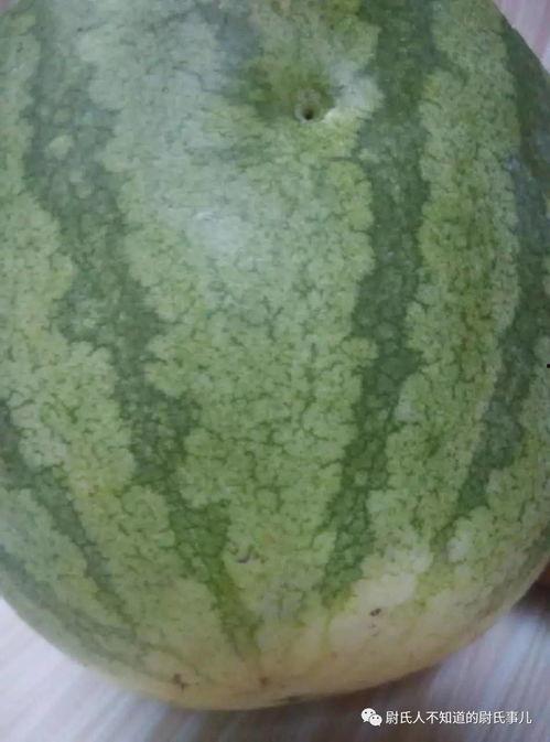 被朋友吃瓜,一场意外的“瓜田”奇遇 第3张 被朋友吃瓜,一场意外的“瓜田”奇遇 第3张