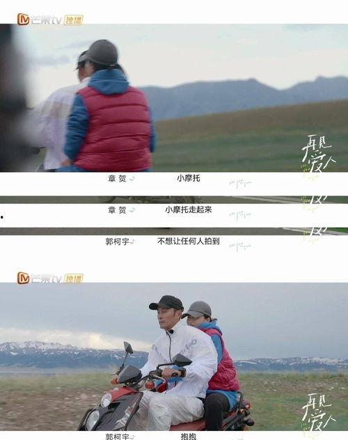 再见爱人吃瓜介绍,揭秘明星夫妻的甜蜜与裂痕，吃瓜群众热议不断  第3张