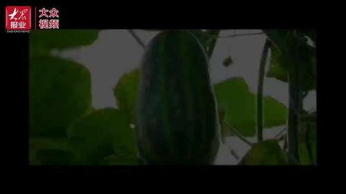 吃瓜博主吃瓜视频大全,揭秘娱乐圈幕后故事 第2张 吃瓜博主吃瓜视频大全,揭秘娱乐圈幕后故事 第2张