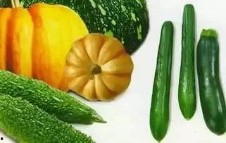 吃瓜东西,那些年我们吃过的瓜  第3张