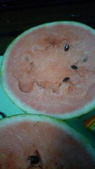 吃瓜蓝颜色,揭秘吃瓜群众的色彩偏好 第3张 吃瓜蓝颜色,揭秘吃瓜群众的色彩偏好 第3张