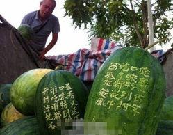 河南郑州吃瓜,吃瓜群众的夏日盛宴 第2张 河南郑州吃瓜,吃瓜群众的夏日盛宴 第2张