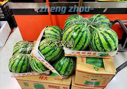 河南郑州吃瓜,吃瓜群众的夏日盛宴 第3张 河南郑州吃瓜,吃瓜群众的夏日盛宴 第3张