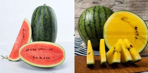 今日瓜吃瓜不信瓜,吃瓜不信瓜,真相大揭秘 第3张 今日瓜吃瓜不信瓜,吃瓜不信瓜,真相大揭秘 第3张