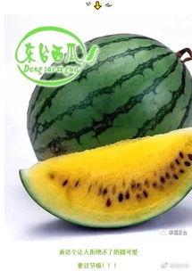 怎么开吃瓜语音,轻松解锁趣味互动新体验 第2张 怎么开吃瓜语音,轻松解锁趣味互动新体验 第2张