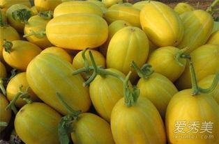 香瓜和佛手瓜一起吃,美味与健康同行 第2张 香瓜和佛手瓜一起吃,美味与健康同行 第2张