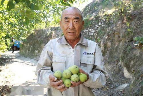 南山吃瓜村民,揭秘乡村生活新风尚 第3张 南山吃瓜村民,揭秘乡村生活新风尚 第3张