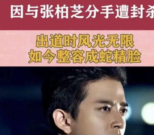 如何吃前男友的瓜,如何巧妙地吃出真相与感悟