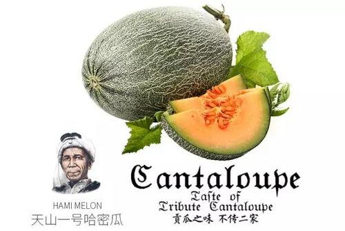 吃瓜社区1号,揭秘网络热点的背后故事  第2张