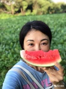 瓜田李下吃瓜人吃瓜  第3张