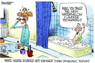 吃瓜过的人漫画,揭秘娱乐圈背后的真相与笑料  第3张