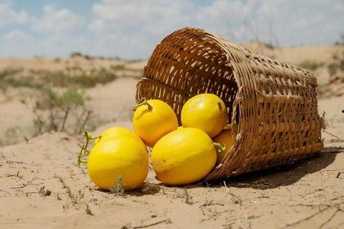 吃蜜瓜可以吃药吗,吃蜜瓜时可以吃药吗？  第3张