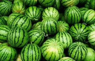 永久吃瓜群3,网络社交新现象背后的故事 第2张 永久吃瓜群3,网络社交新现象背后的故事 第2张