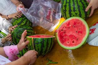 动感吃瓜视频,揭秘娱乐圈幕后风云 第3张 动感吃瓜视频,揭秘娱乐圈幕后风云 第3张